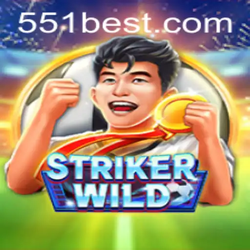 A Deep Dive into the Thrilling World of StrikerWILD